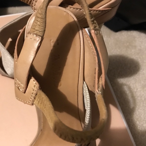 LAMB - Picture 3 of 3